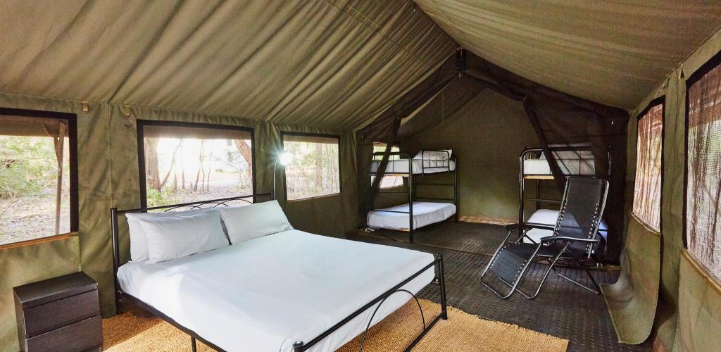 Eco Safari Tent